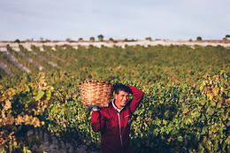 BODEGAS MONTEABELLON