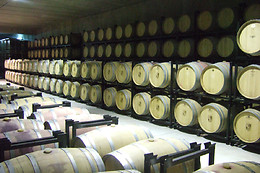 BODEGAS ZIFAR