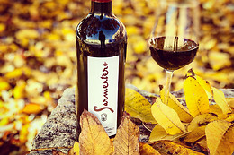 BODEGA SARMENTERO