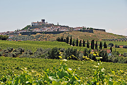 João Portugal Ramos Vinhos