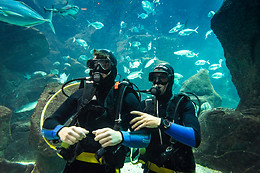 MADEIRA NATURE EXPERIENCE