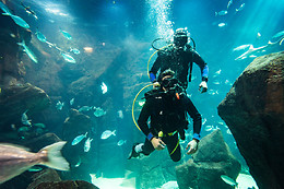 MADEIRA NATURE EXPERIENCE