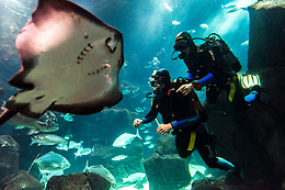 MADEIRA NATURE EXPERIENCE