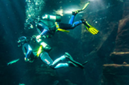 MADEIRA NATURE EXPERIENCE