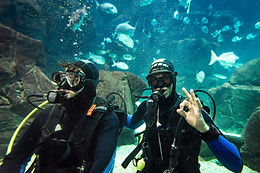 MADEIRA NATURE EXPERIENCE