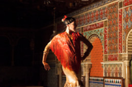 TABLAO FLAMENCO TORRES BERMEJAS