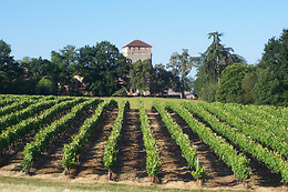 Domaine Armagnac Lafitte