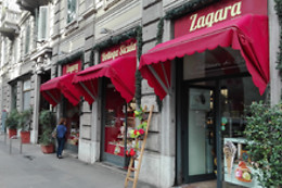 Zagara Milano