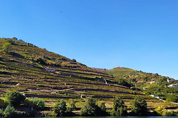 RENTDOURO