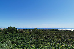 BODEGAS Y CAVAS JAUME SERRA