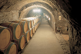 BODEGAS ISMAEL ARROYO - VALSOTILLO
