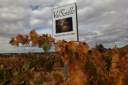 BODEGAS ISMAEL ARROYO - VALSOTILLO