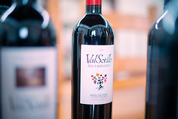 BODEGAS ISMAEL ARROYO - VALSOTILLO
