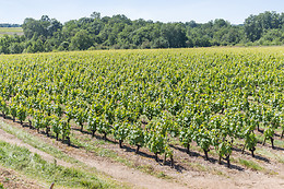 Chateau du Bois Huaut
