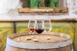 Chateau du Bois Huaut