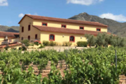 BODEGAS PERFER