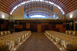CURSO CATA DEL VINO