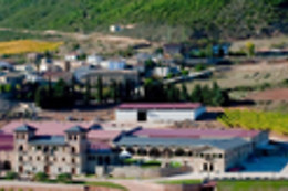CURSO CATA DEL VINO