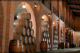 CURSO CATA DEL VINO