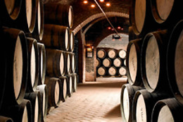 CURSO CATA DEL VINO