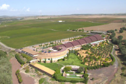 CURSO CATA DEL VINO