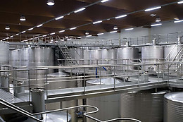 CURSO CATA DEL VINO