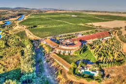CURSO CATA DEL VINO
