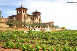 CURSO CATA DEL VINO