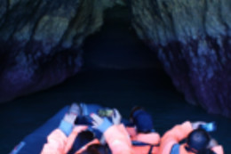 Seadolphins