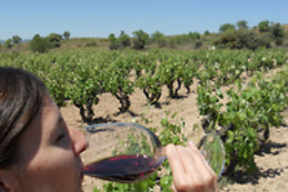 CELLER CARLES ANDREU