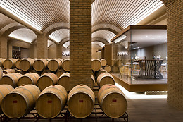 BODEGA FINCA VILLACRECES & BODEGA IZADI
