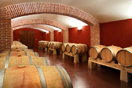BODEGA FINCA VILLACRECES & BODEGA IZADI