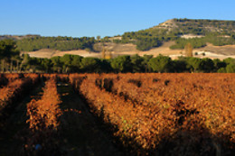 BODEGA FINCA VILLACRECES & BODEGA IZADI