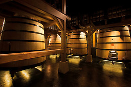 BODEGA FINCA VILLACRECES & BODEGA IZADI