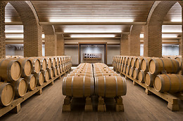 BODEGA FINCA VILLACRECES & BODEGA IZADI