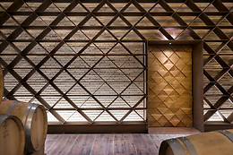 BODEGA FINCA VILLACRECES & BODEGA IZADI