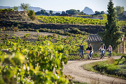 BODEGA FINCA VILLACRECES & BODEGA IZADI