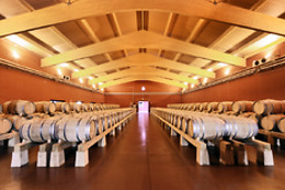 BODEGA FINCA VILLACRECES & BODEGA IZADI