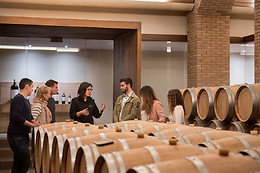 BODEGA FINCA VILLACRECES & BODEGA IZADI