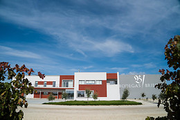 BODEGA BRIEGO