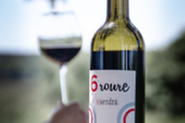 BODEGAS VISENDRA