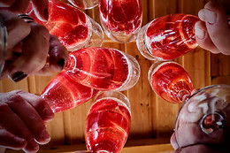BODEGAS VISENDRA