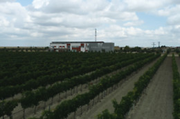 BODEGA BRIEGO