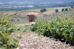 BODEGAS ELIAS MORA