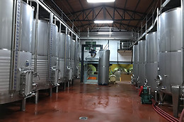 BODEGAS Y VIÑEDOS PEDRO GARCIA