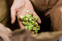 Brasserie de Rulles