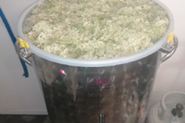 Microbrasserie des Coccinelles
