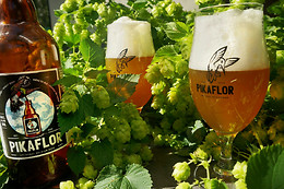 Microbrouwerij De Backer