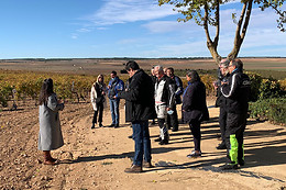 BODEGAS MONT REAGA
