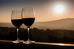 Nature de Vin